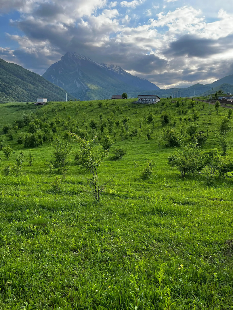 Шале в горах Кобан