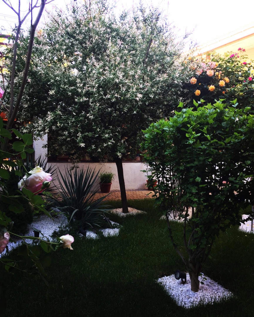 Мини-отель FreeDom