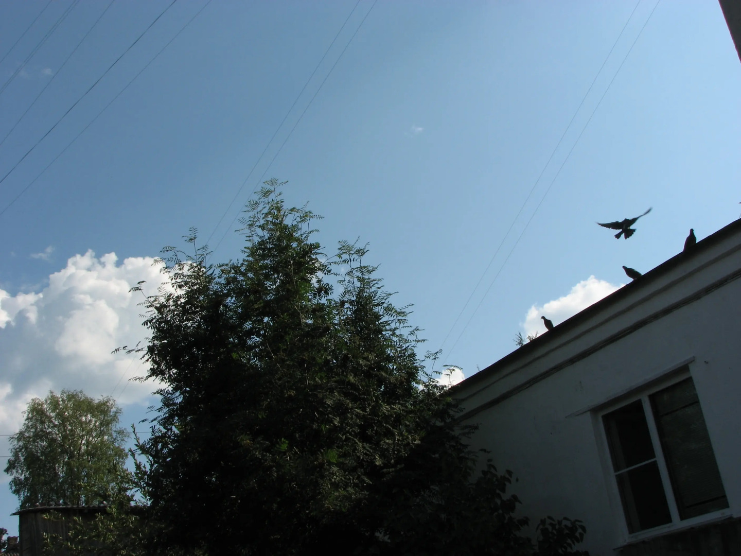 Хостел Облако