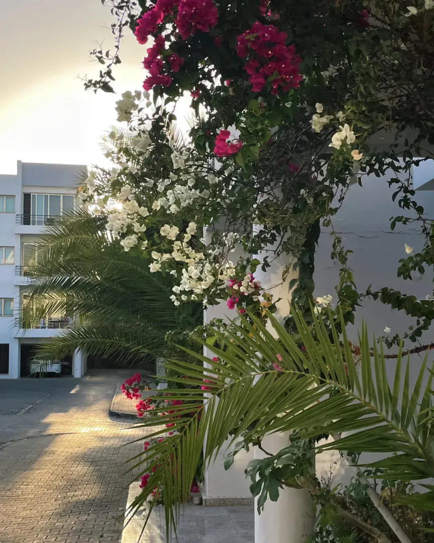 Апарт-отель Rix