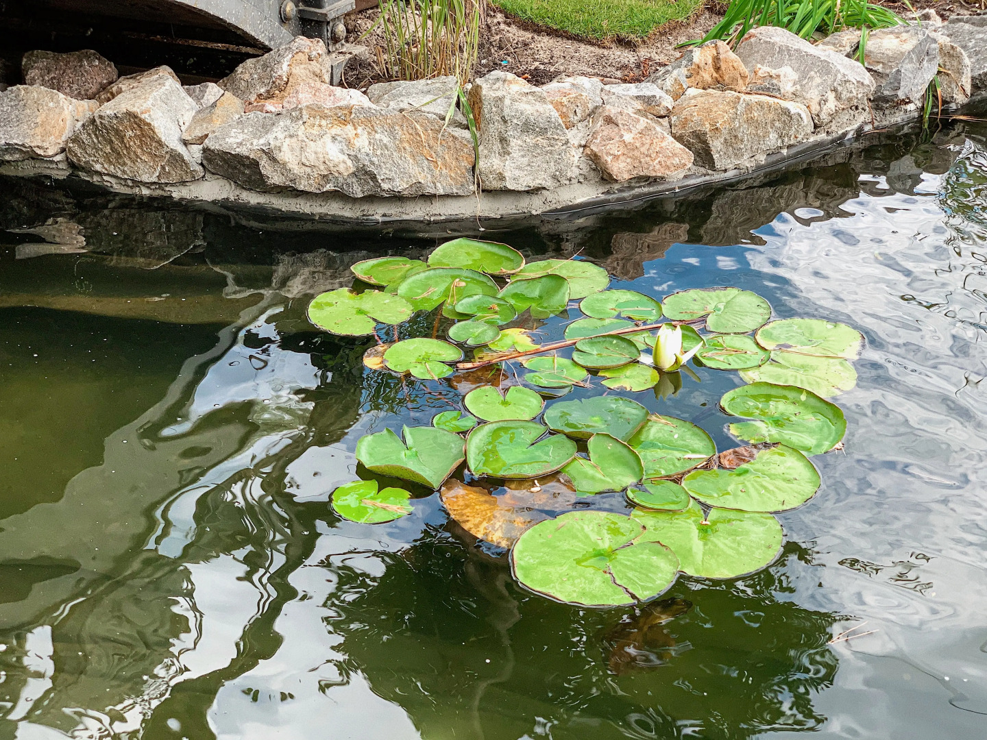 База отдыха Valen Park