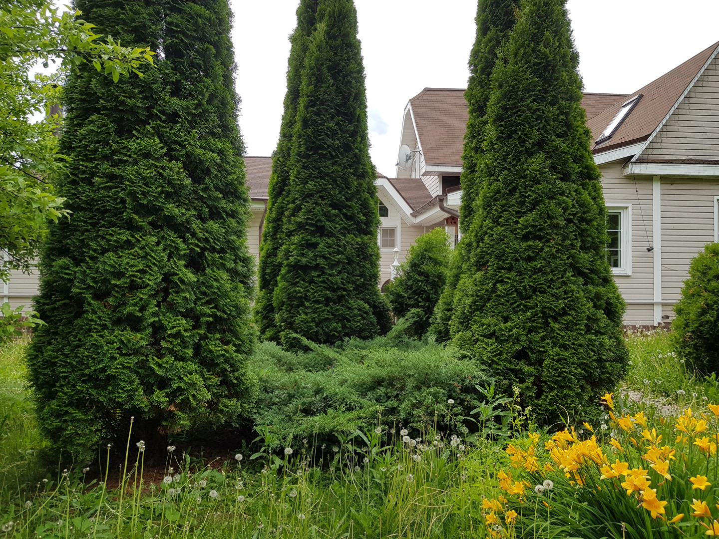 V Rassudovo Guest House	