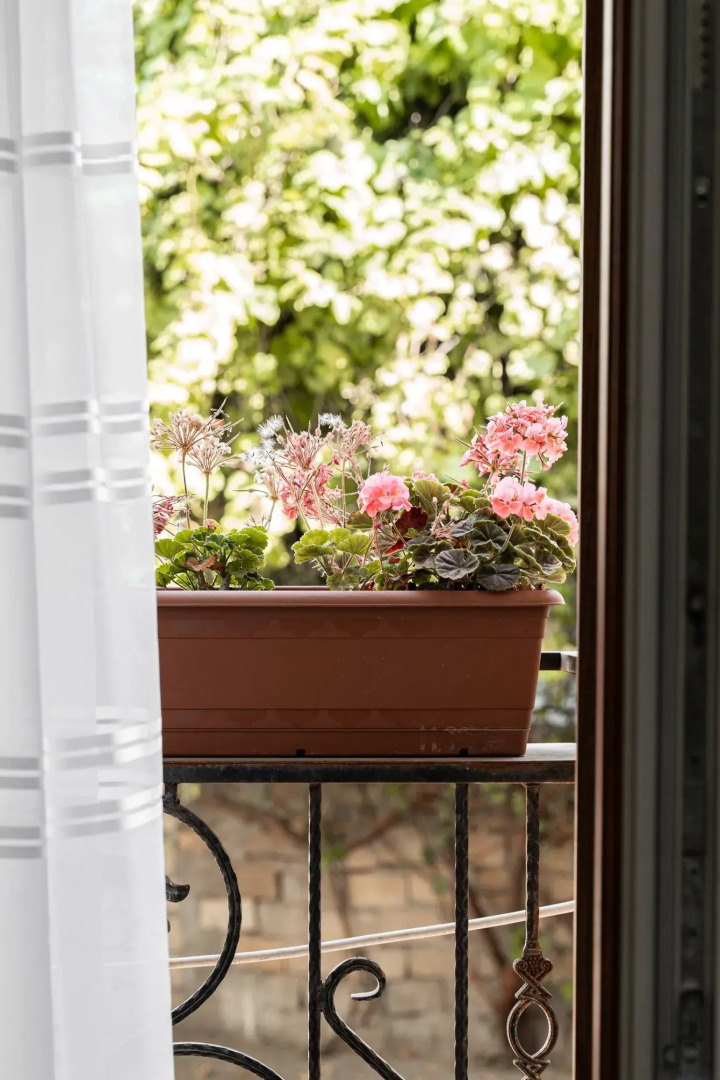 Отель Parliament Palace Baku