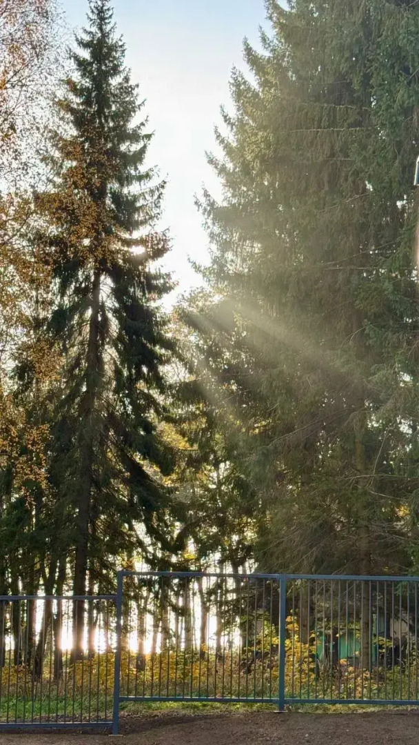 Апартаменты студия у моря 426