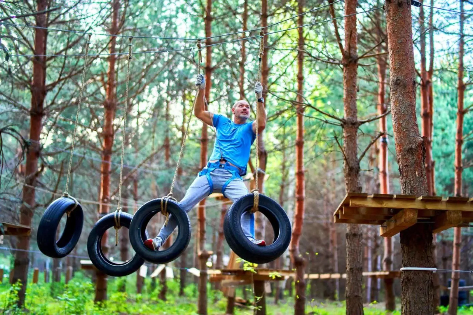 Глэмпинг Lesavushka