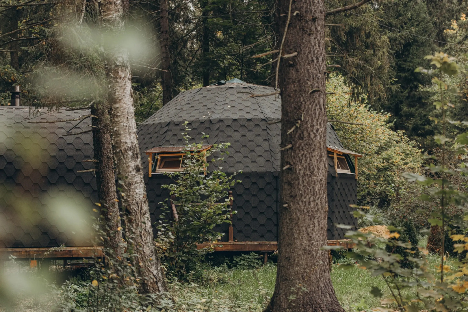 Шале Сфера Агат в лесу на Живописной улице