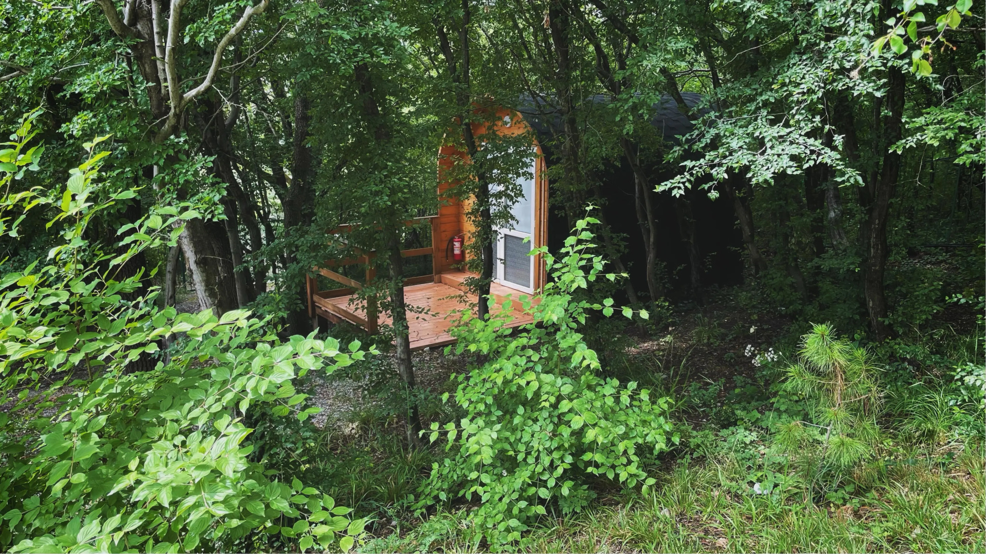 База отдыха Бегом к нам