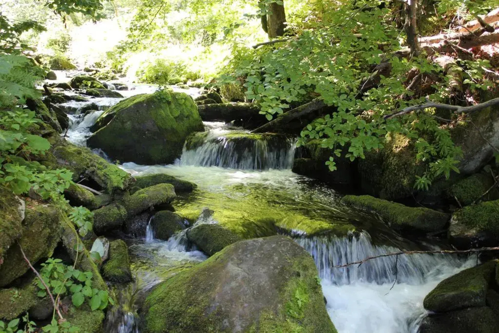 База Отдыха Мир Солнца