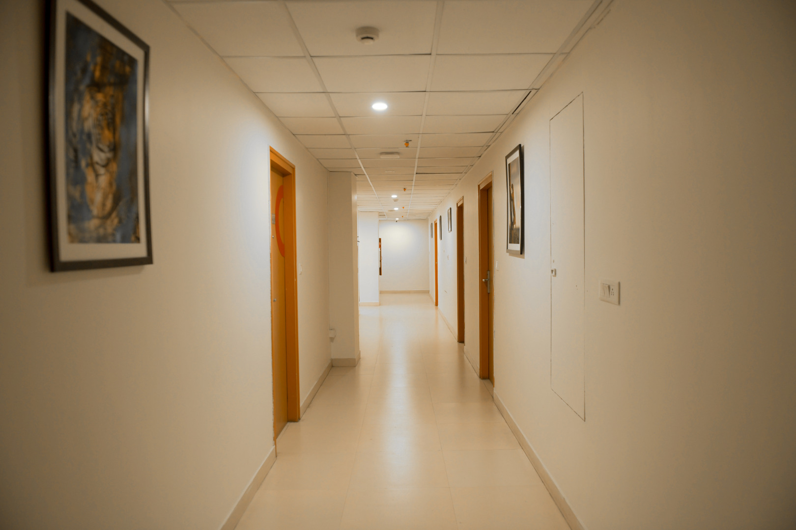 Отель Casa Meridian