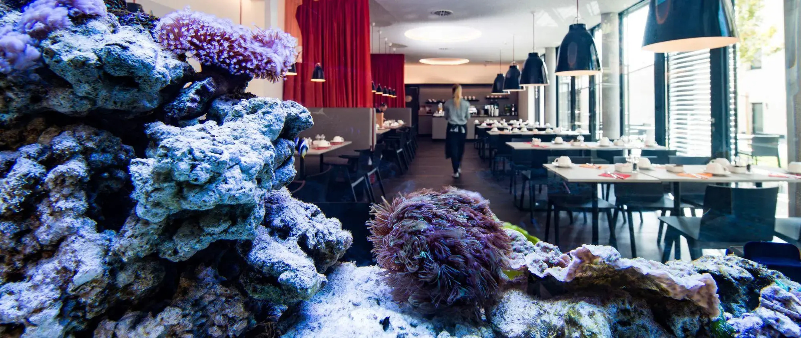 Отель SevenDays BoardingHouse