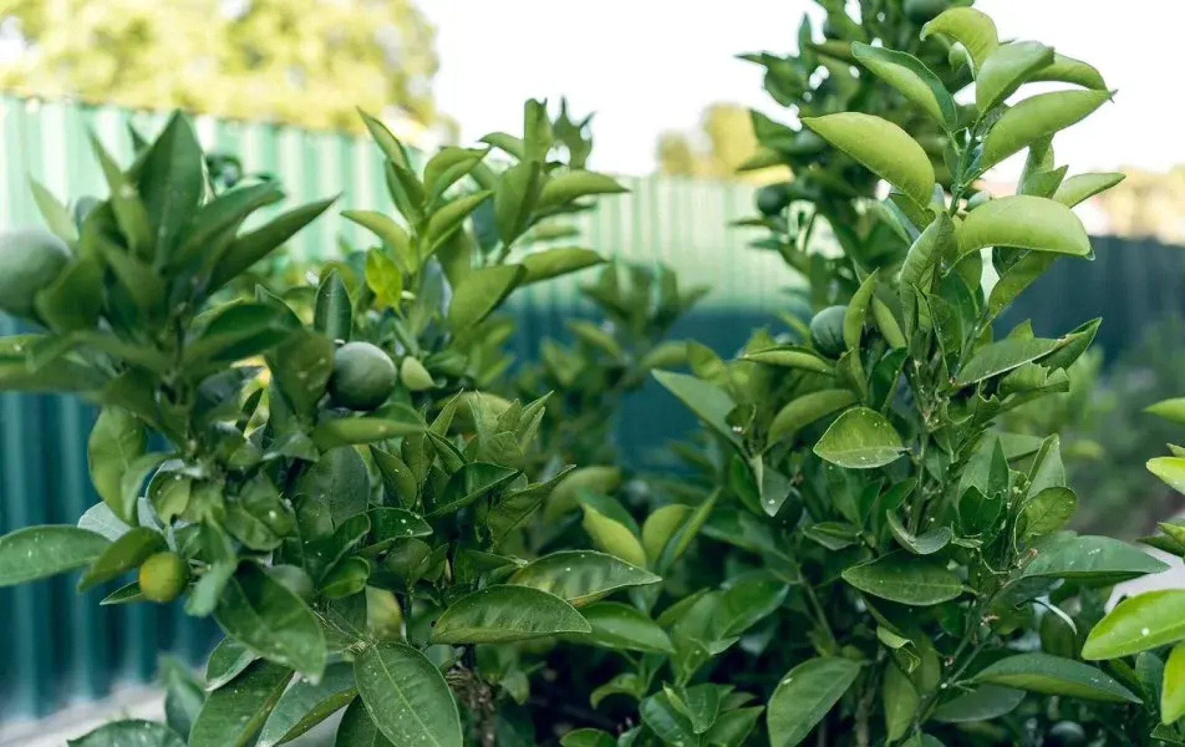 Отель Глория