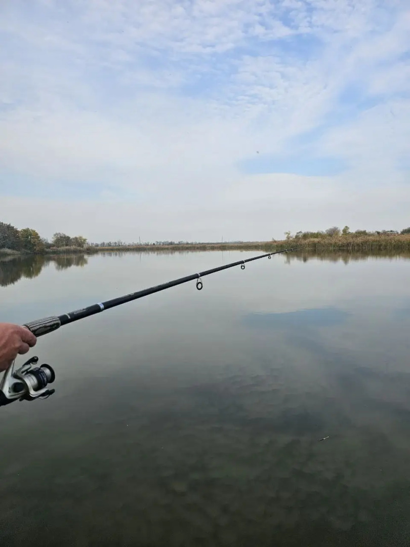 Шале Мишкин Домик