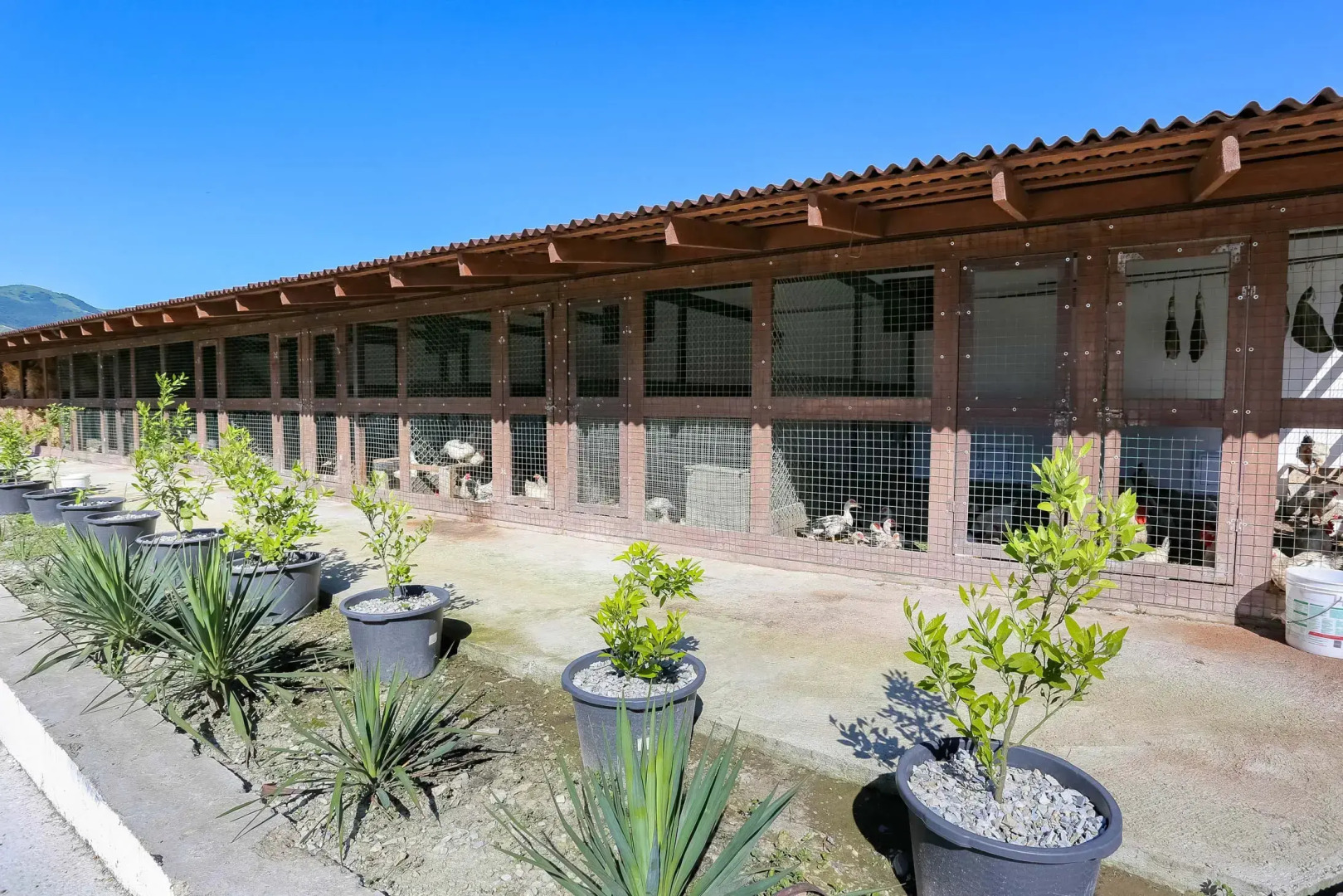 Гостевой дом Шато Ди Лиз