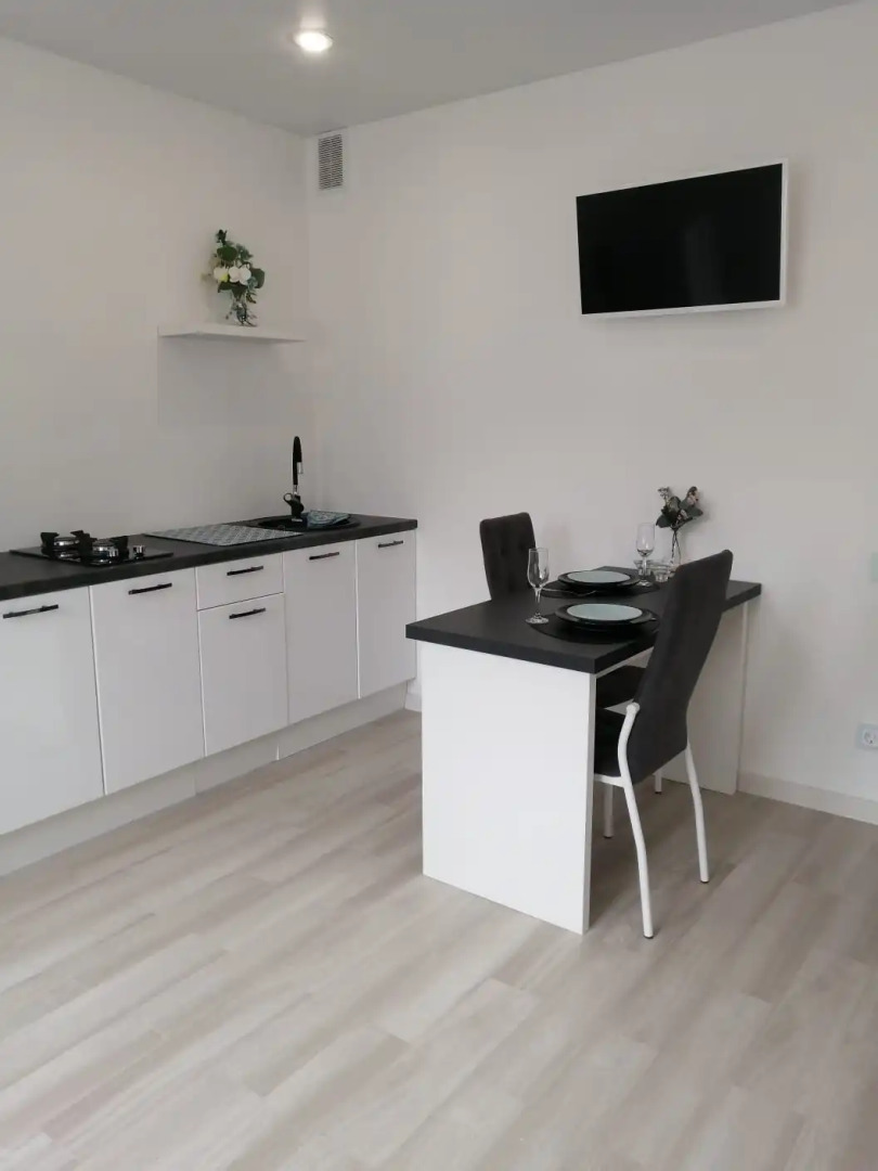 Апартаменты на Толстого 4