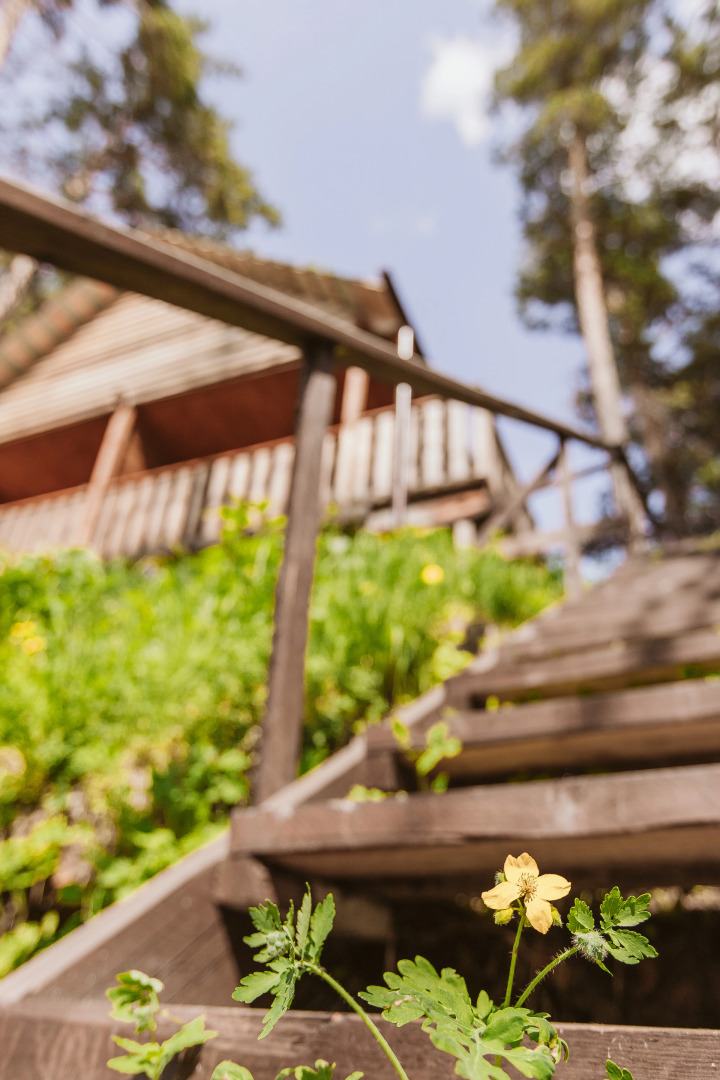 Гостевой дом АЛТАЙ БЕРЕГ ИП Рожнова Л.В.