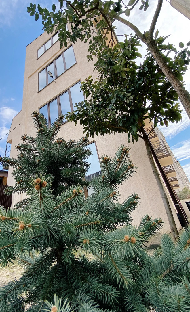 Мини-Отель A-more Gagra