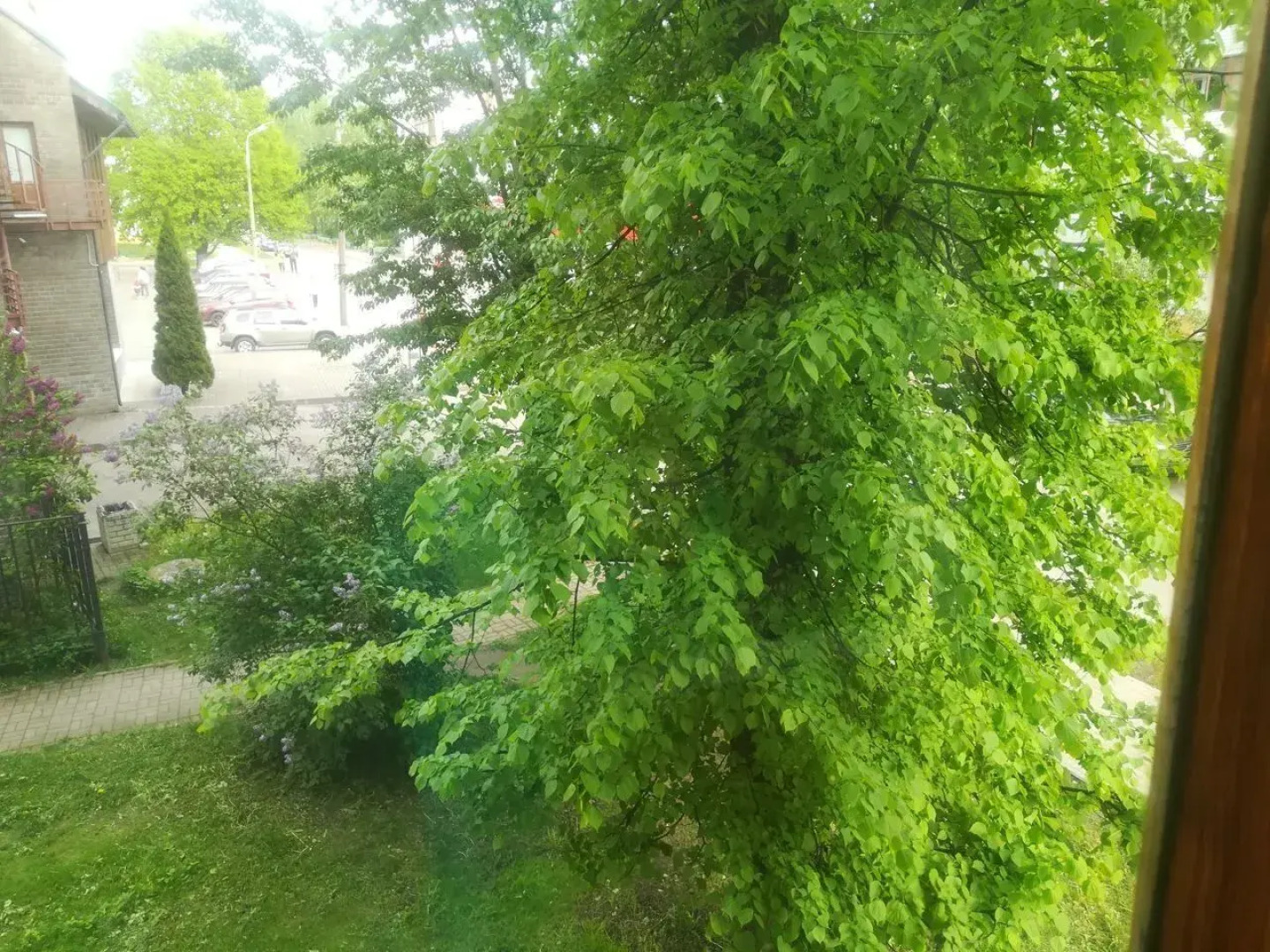 Апартаменты Old Pskov