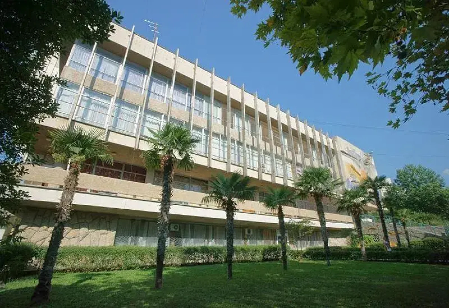 Отель Чайка ТОК