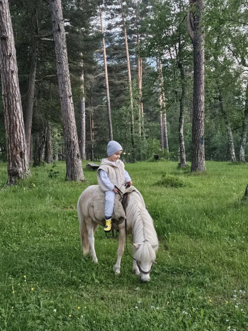 База отдыха Sherwood Arkhyz Chalet