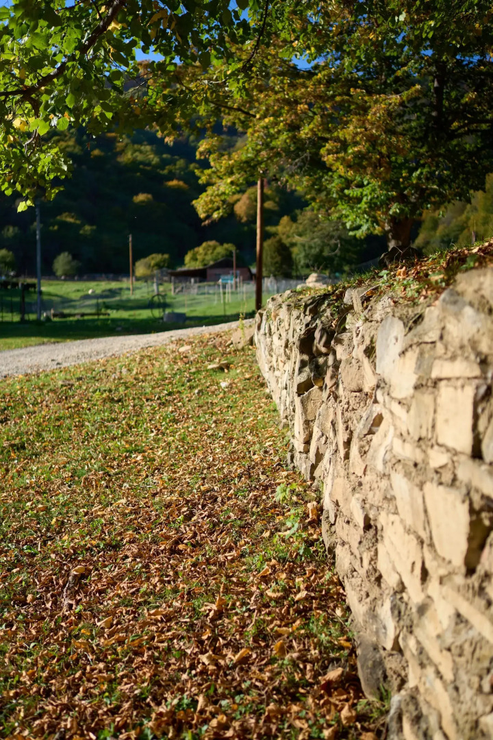 Гостевой дом Aydin El