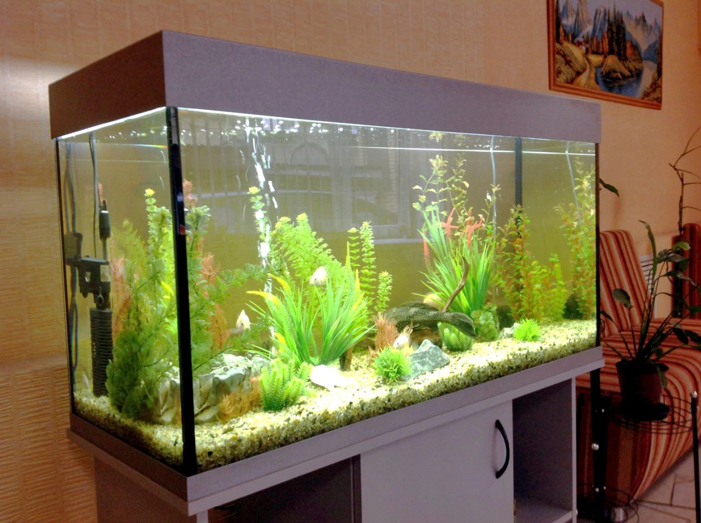 Отель Rest Home