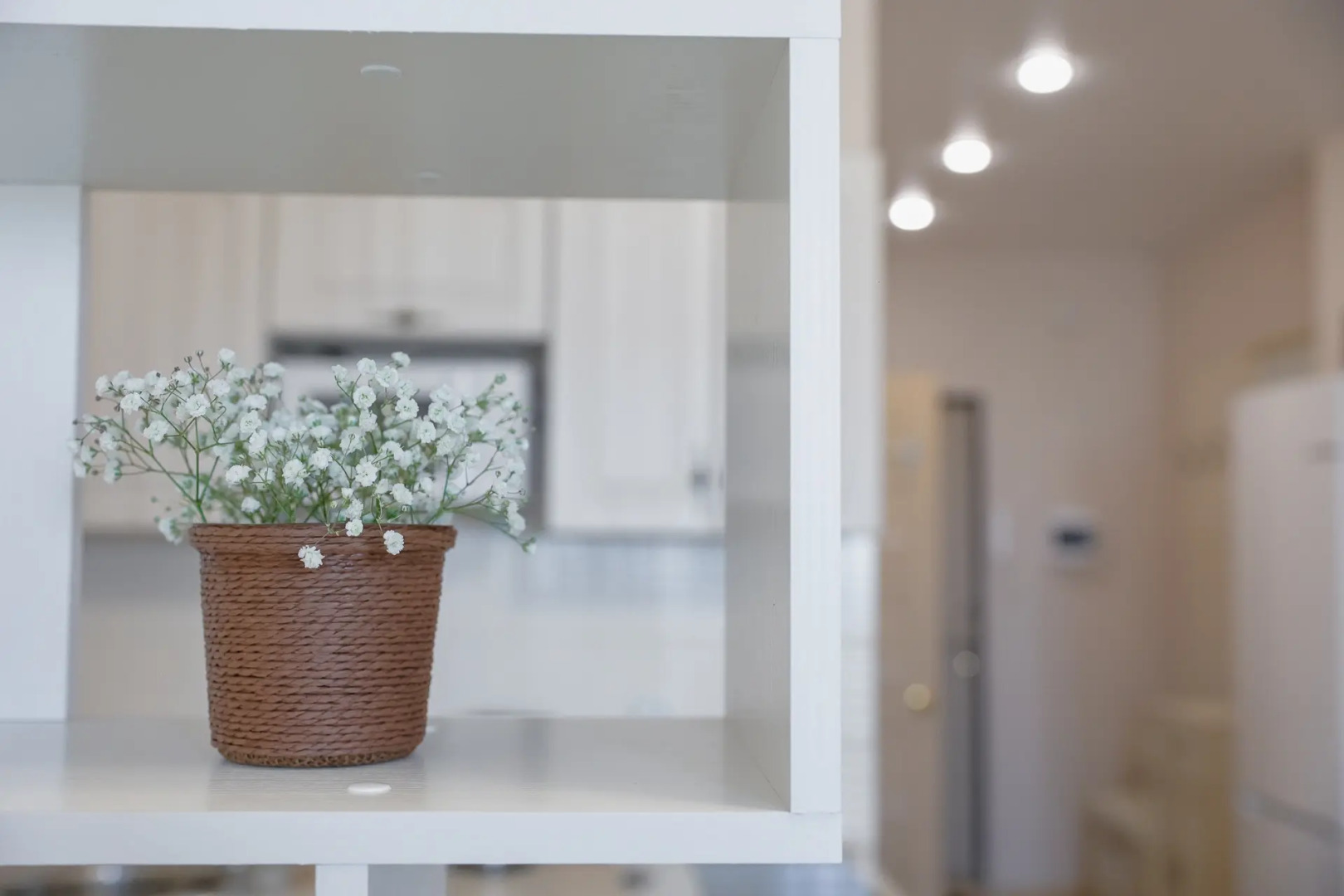 Апартаменты в стиле бохо с чудесным видом