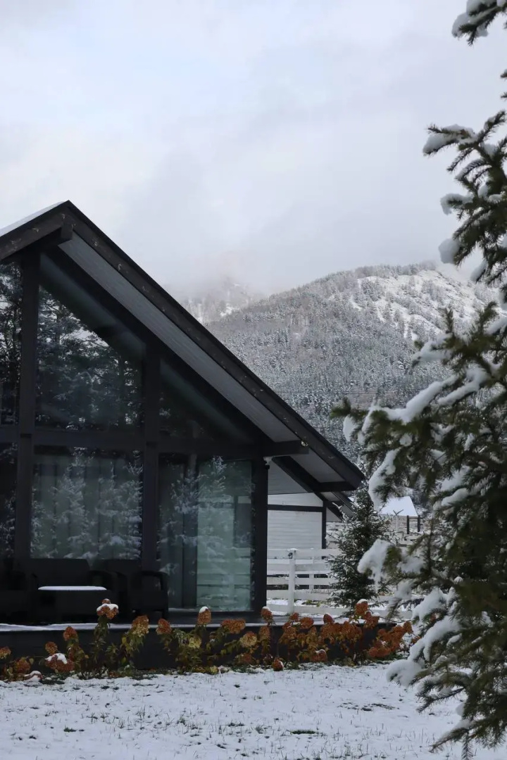 Отель Альпинс Residence