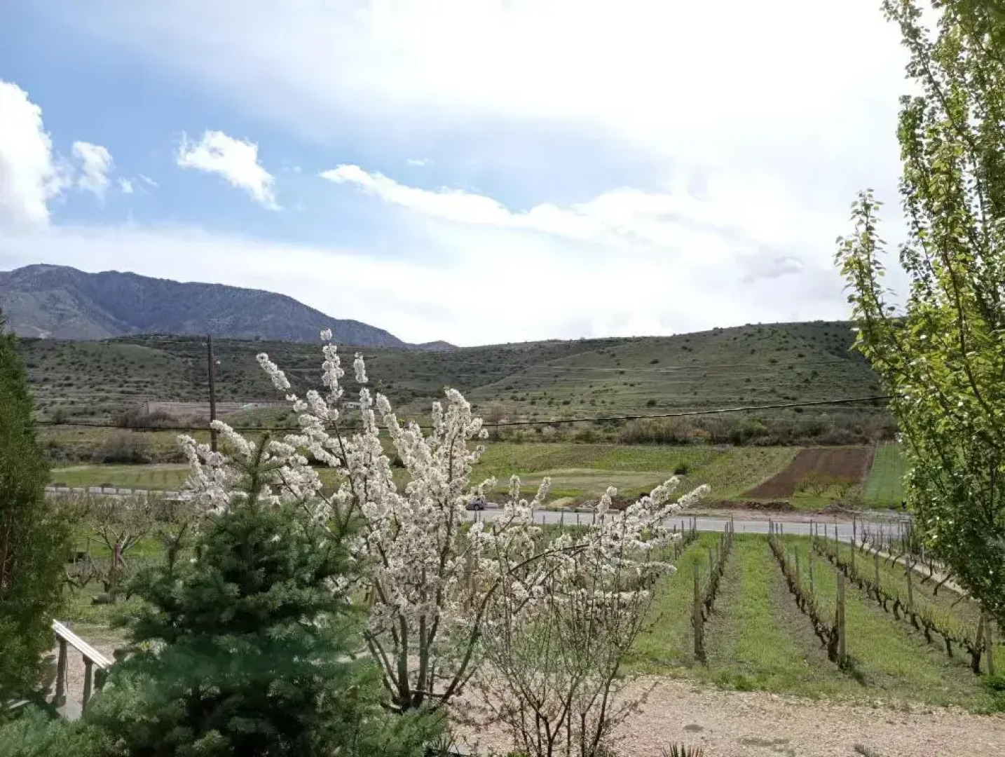 Гостевой дом Luiza