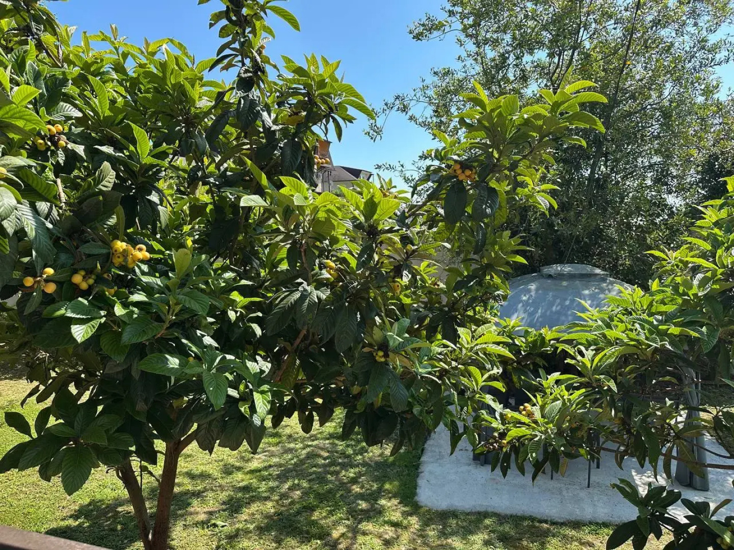 Гостевой дом Новый Афон