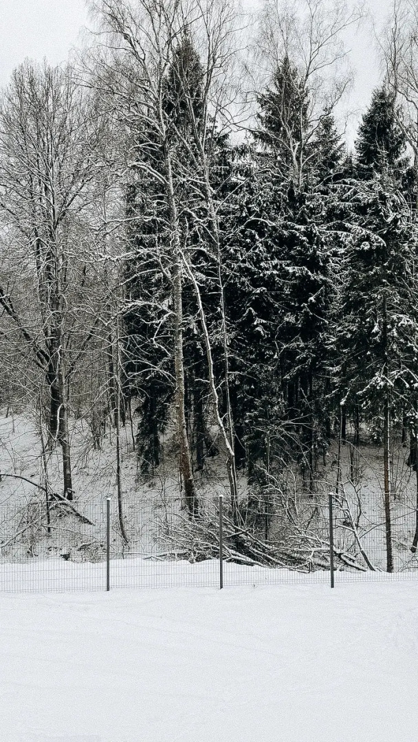 Частный дом Уютный барнхаус