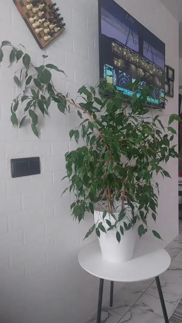 Квартира Трехкомнатная рядом с Кремлем