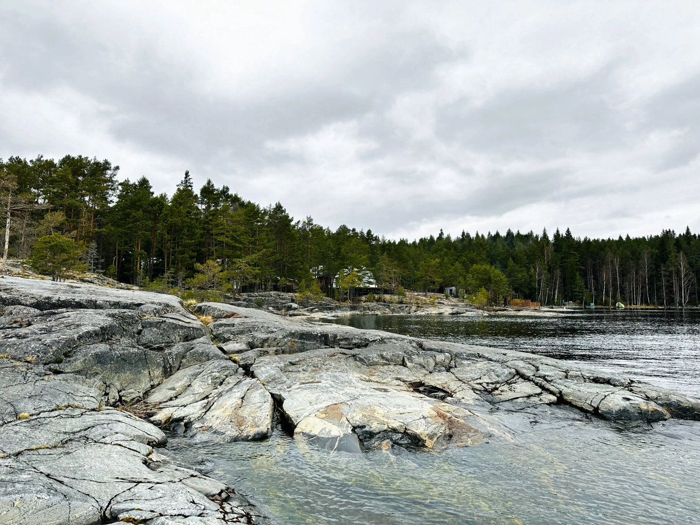 Глэмпинг Lago Ladoga