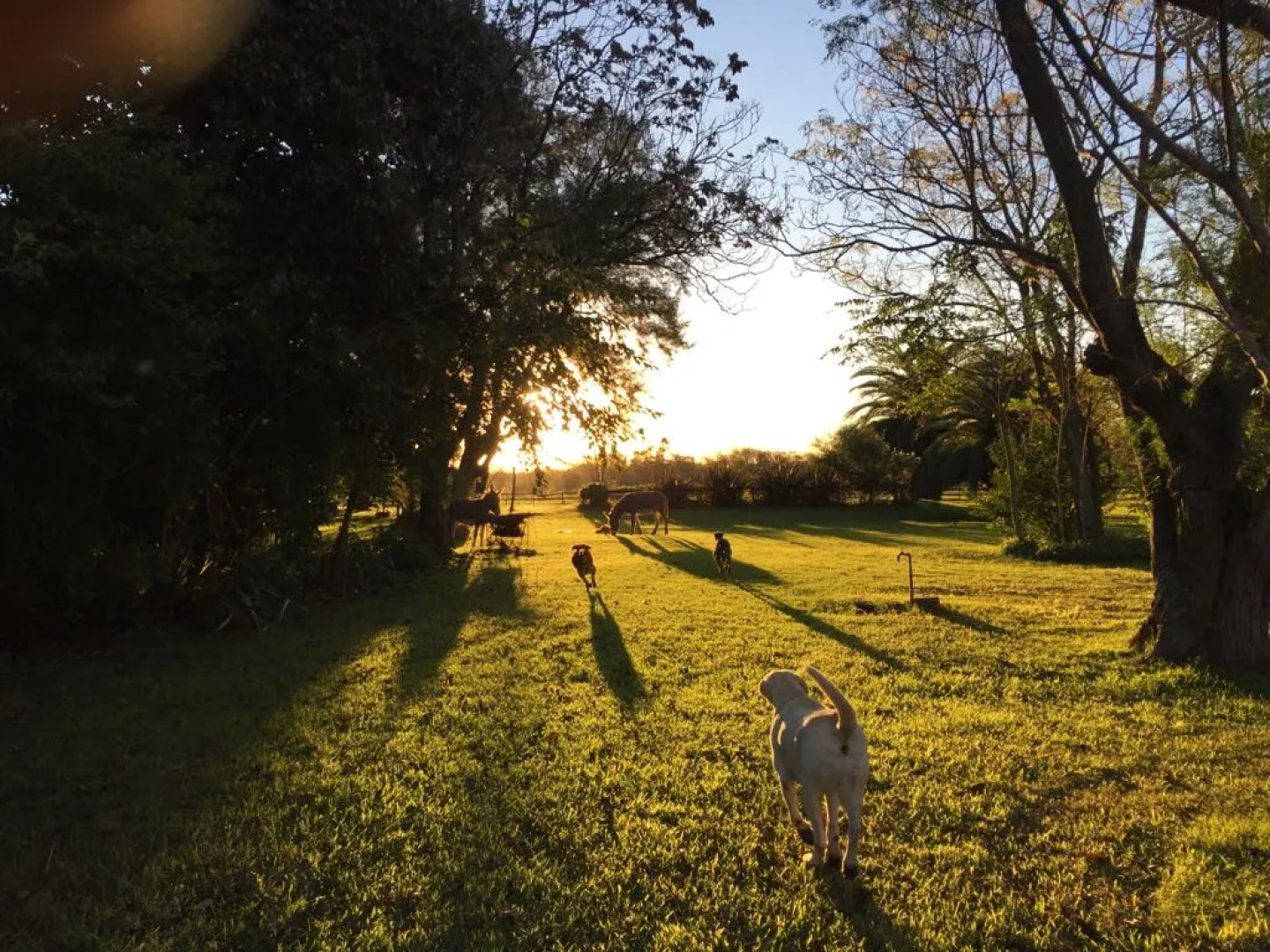 Бутик-Отель Estancia El Cencerro