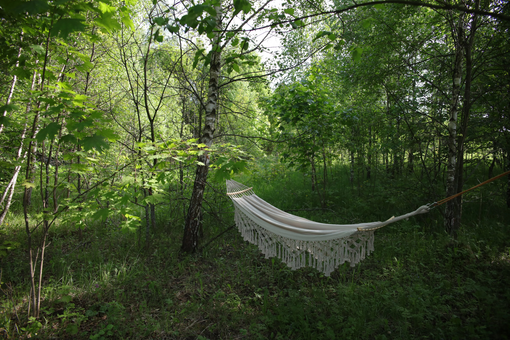 Гостевой Дом Лес и Небо