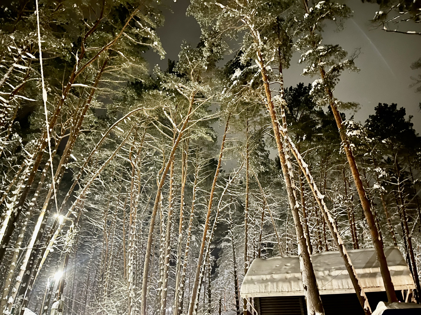 Частный Дом Бревенчатый Дом в Соснах