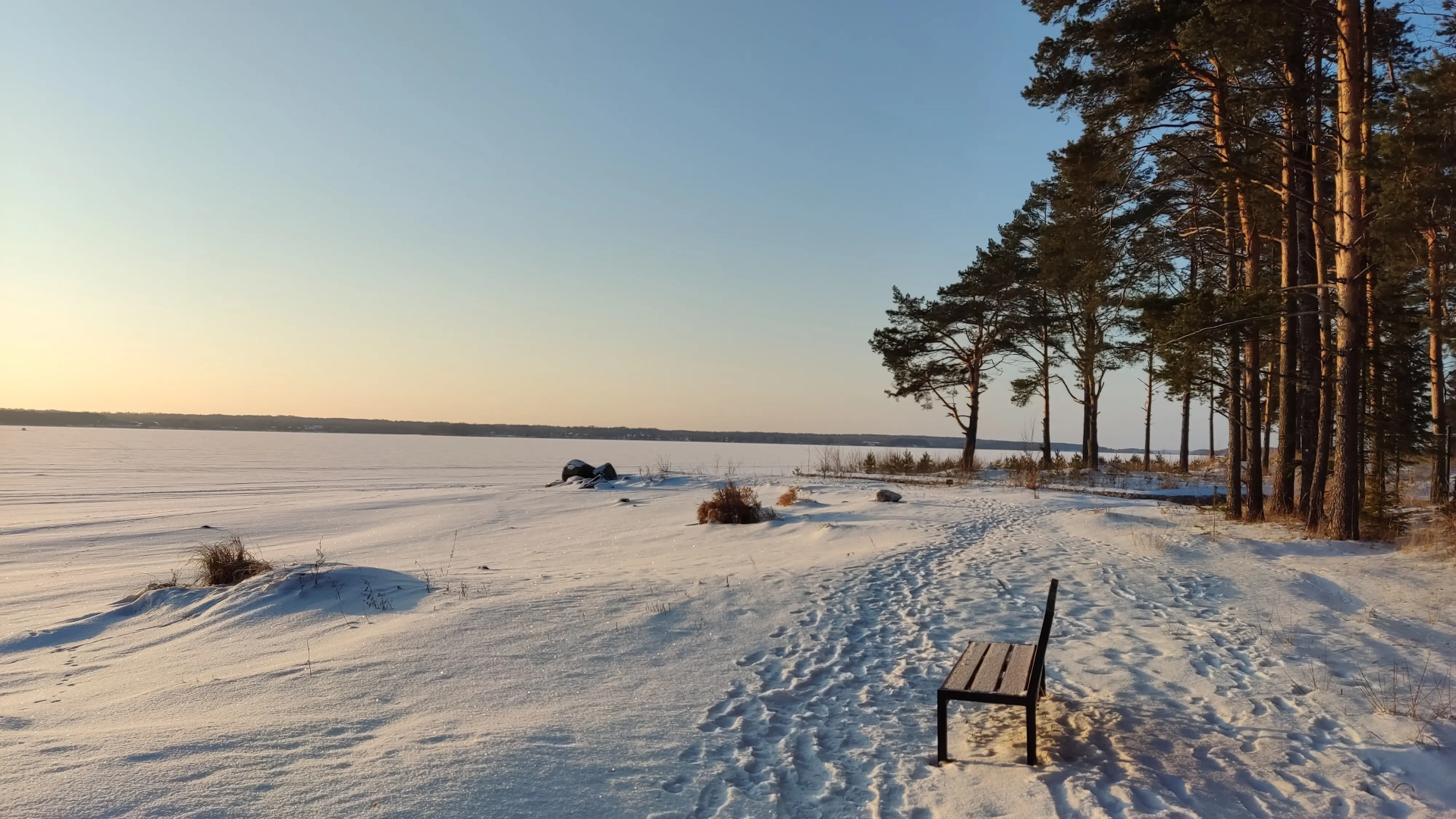 Лесной домик на берегу Озера Волго на Селигере - коттеджи Сосновый бор