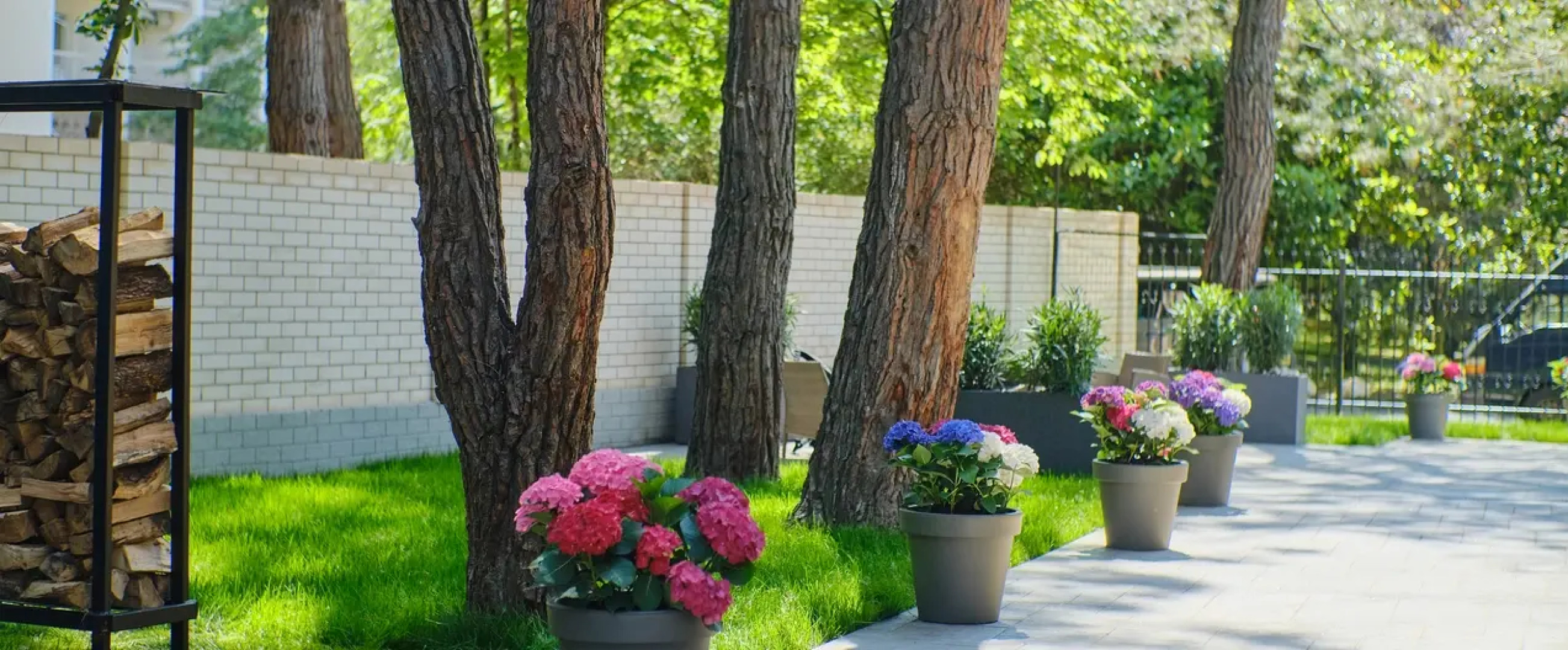 Отель Грейс Калифорния 3*