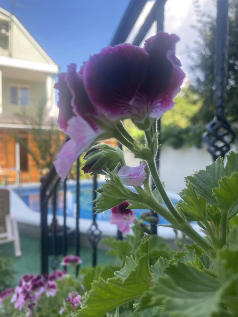 Гостевой дом Регион Море