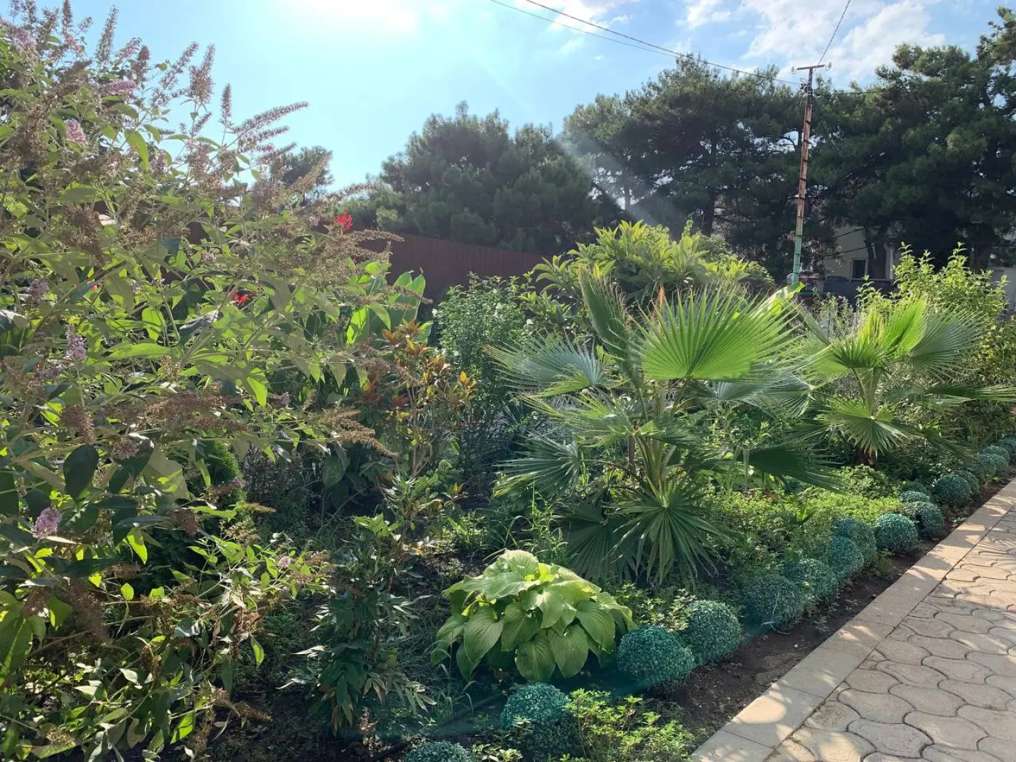 Отель Нинель