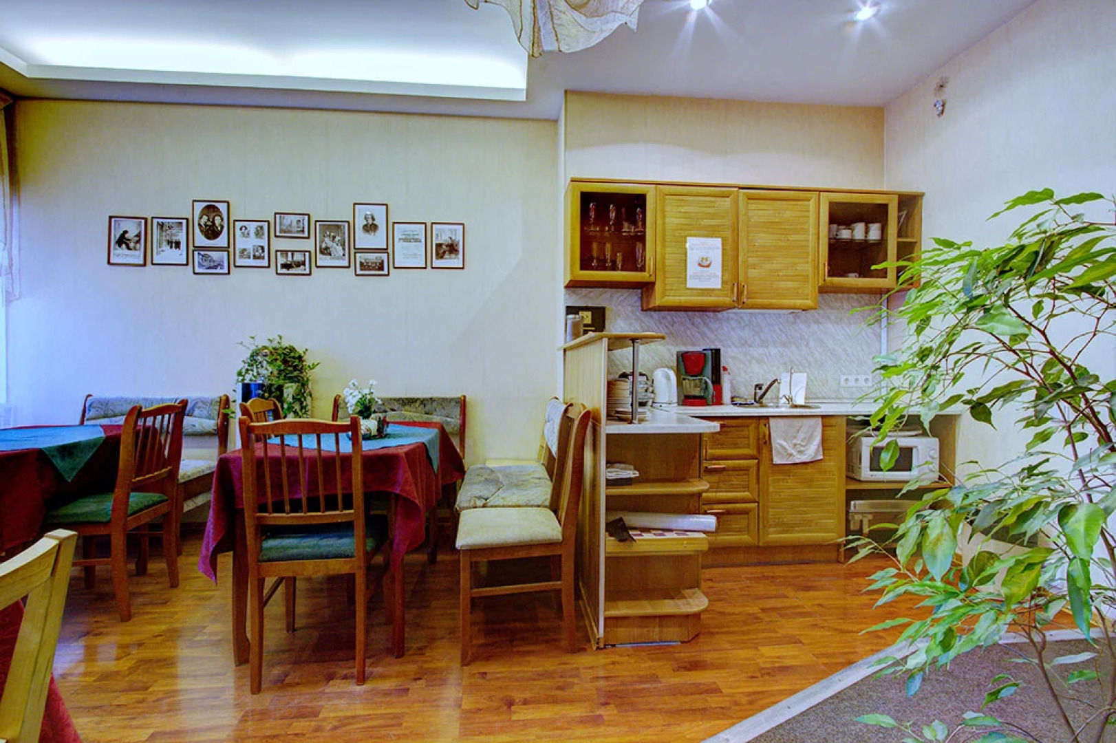 Меблированные комнаты Элегия