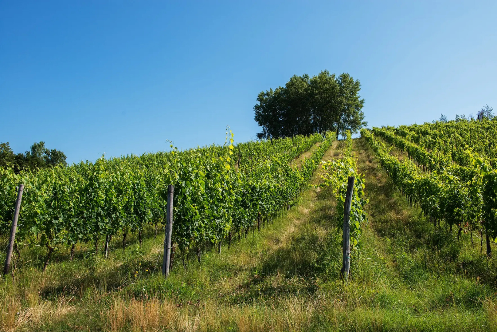 Отель Relai Sassa al Sole