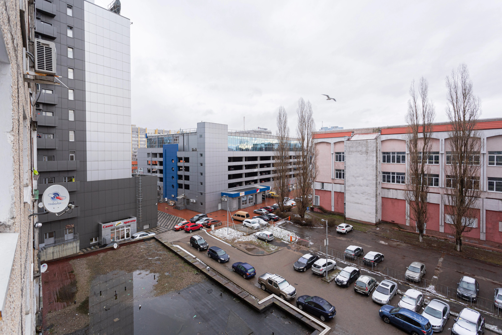 Апартаменты у музея мирового океана