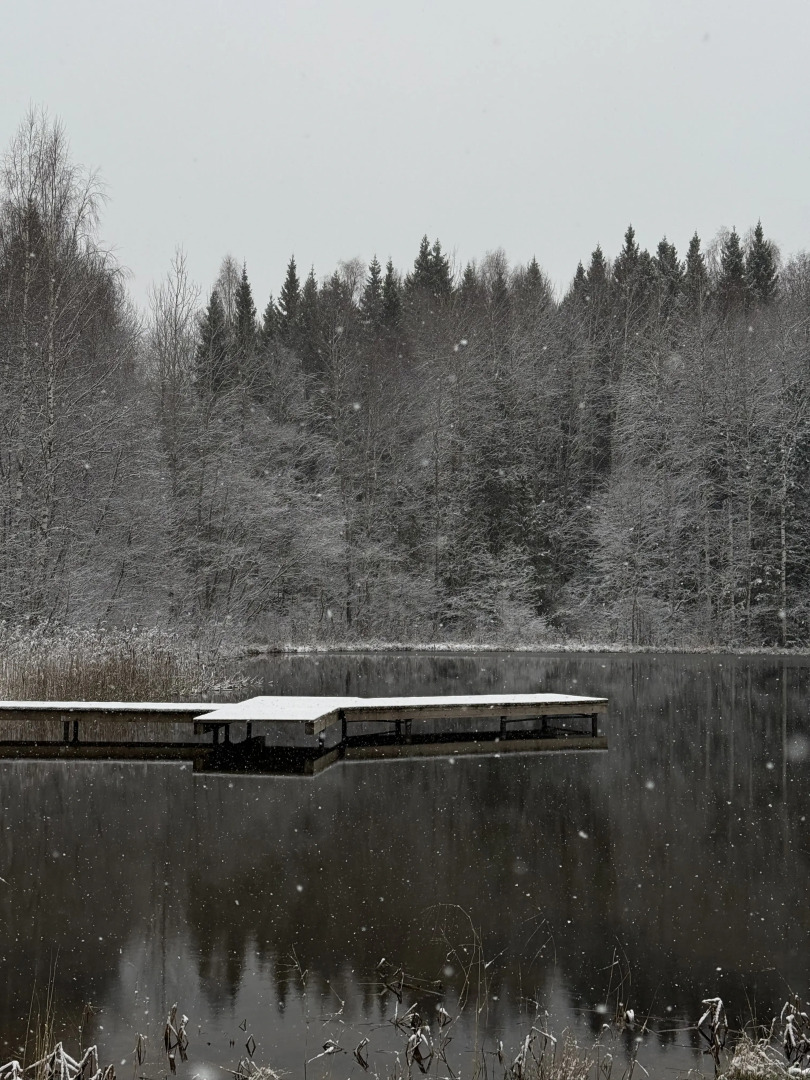 Частный дом BIRCH на Берёзовой 2