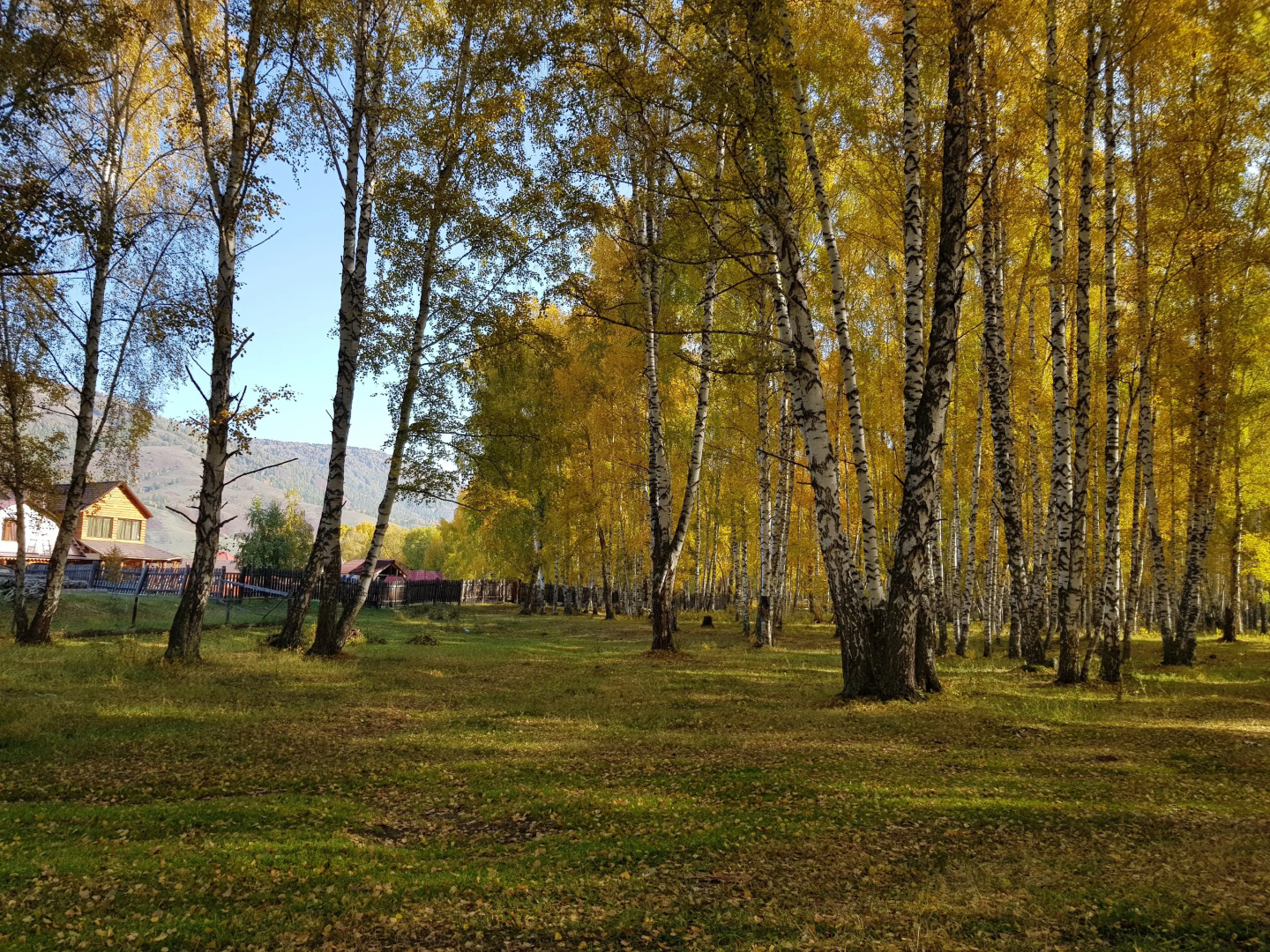 База отдыха Благодать