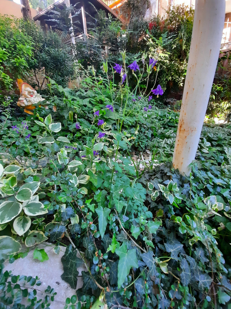 Гостевой дом Были-жили