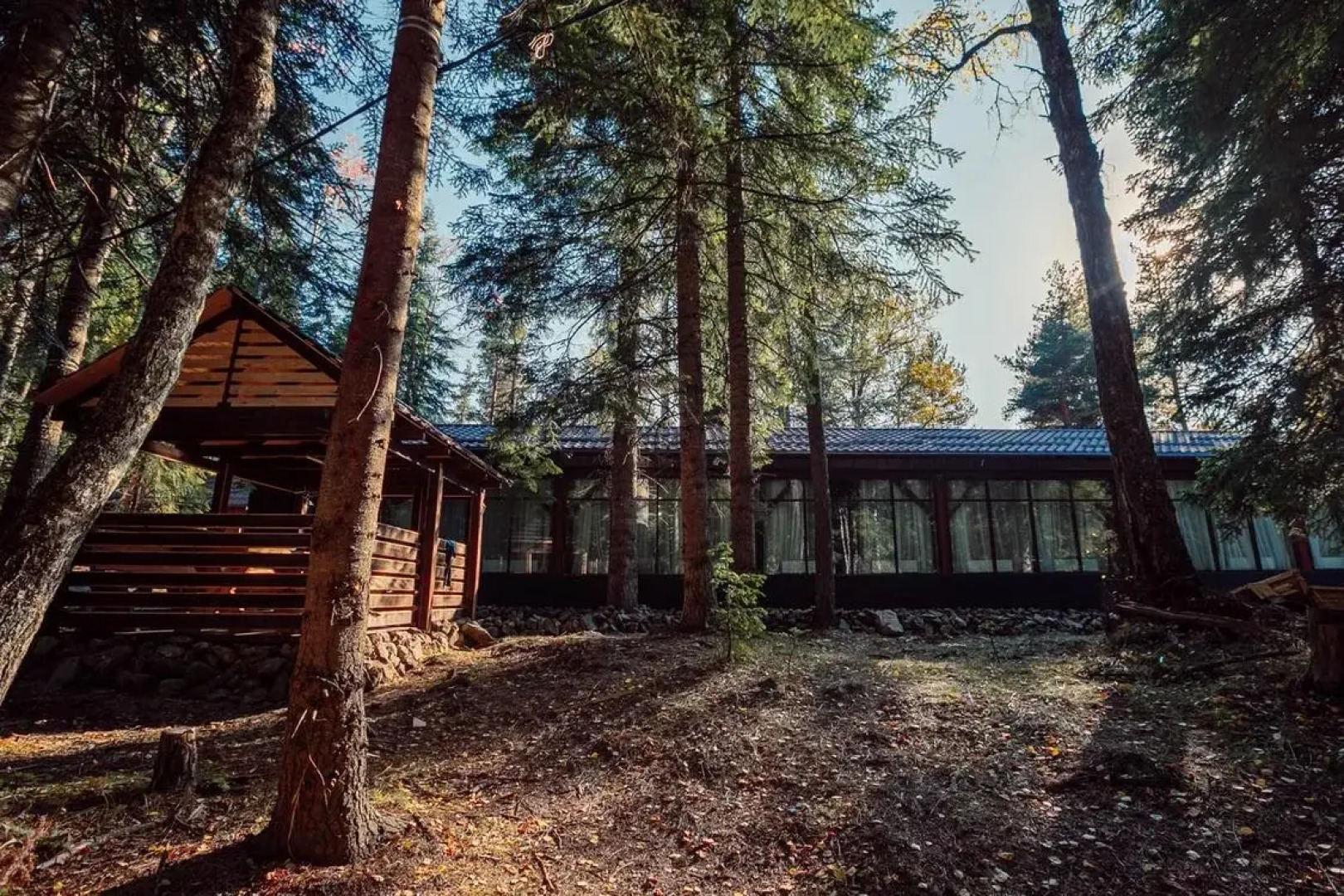 Отель Беркут