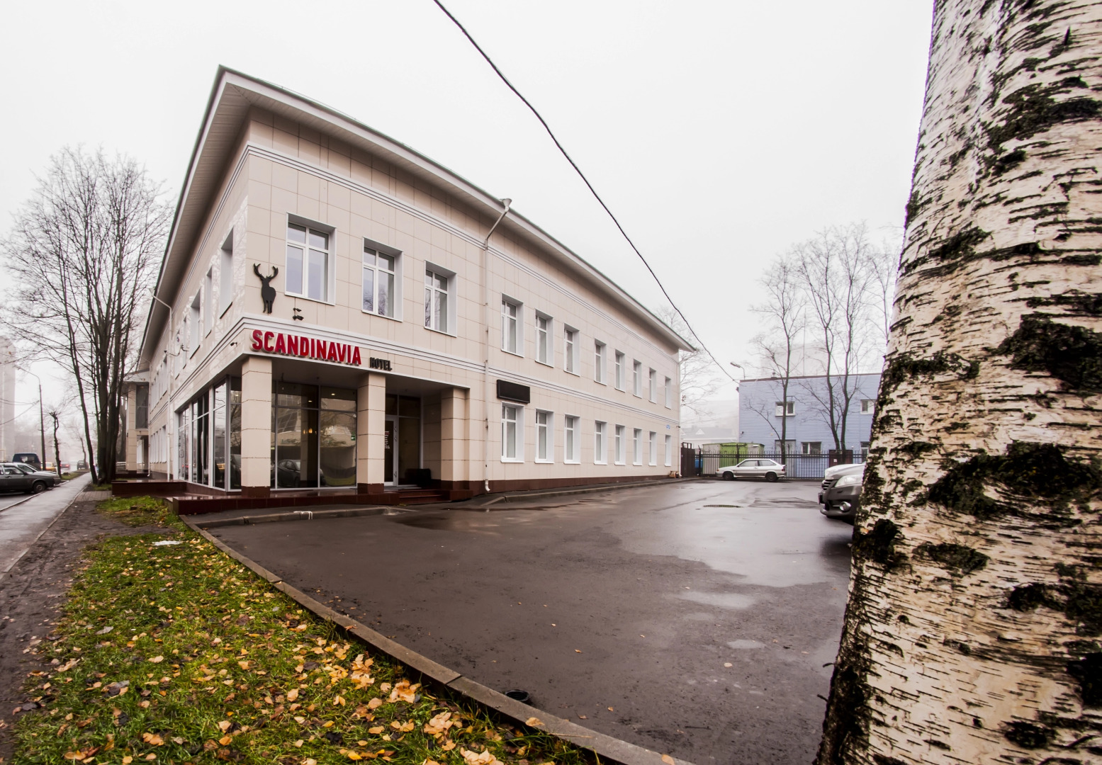 Отель Скандинавия