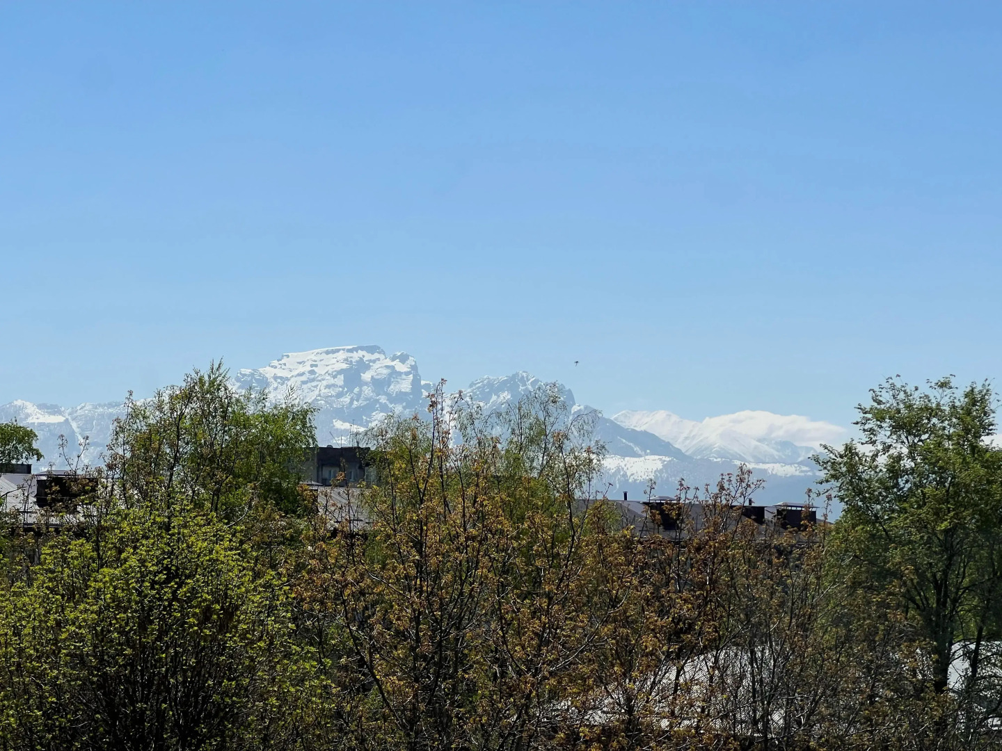 Апартаменты AURA на Московской 17