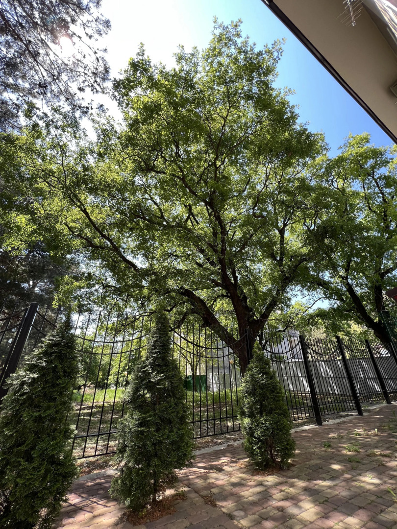 Геленджик Отель