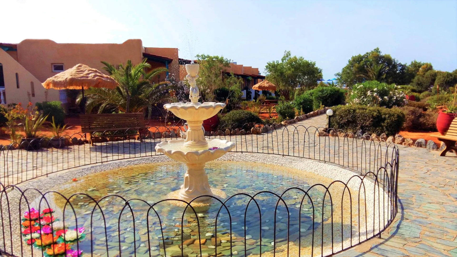 Отель Zorbas Beach Village